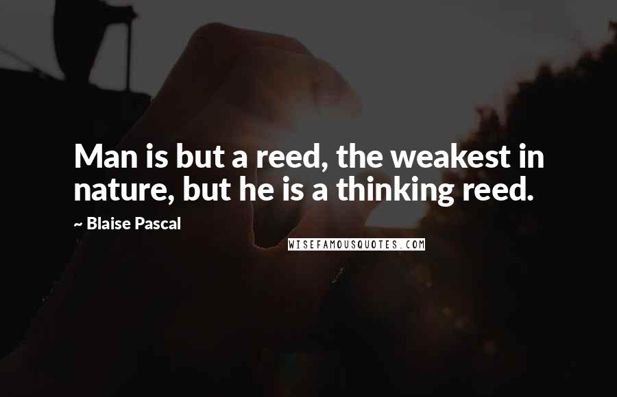 Blaise Pascal Quotes: Man is but a reed, the weakest in nature, but he is a thinking reed.