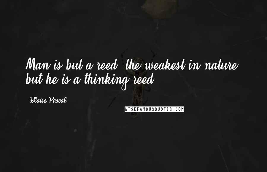 Blaise Pascal Quotes: Man is but a reed, the weakest in nature, but he is a thinking reed.