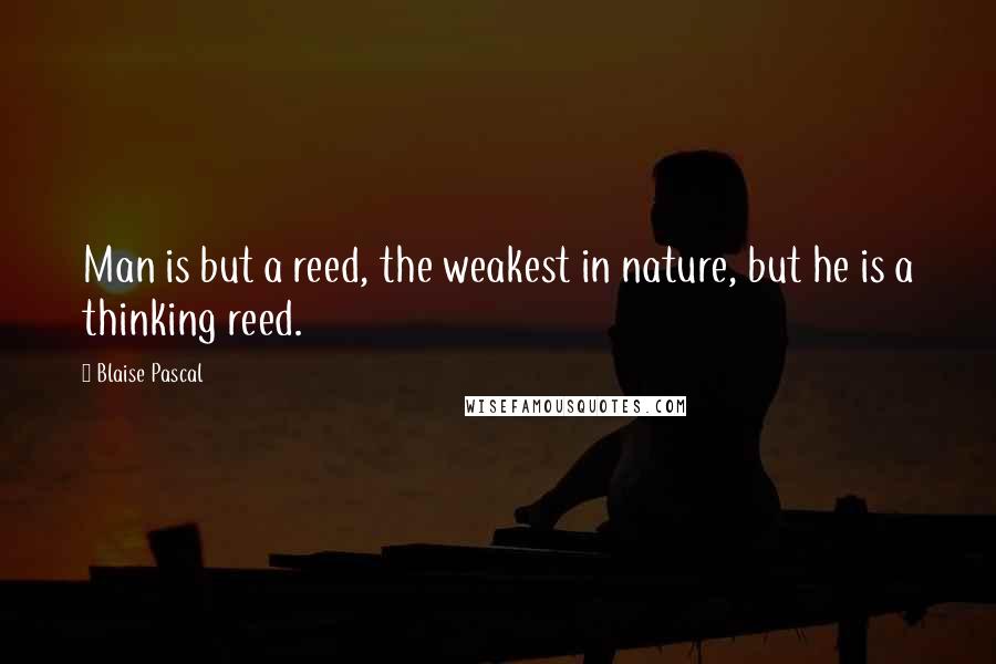 Blaise Pascal Quotes: Man is but a reed, the weakest in nature, but he is a thinking reed.