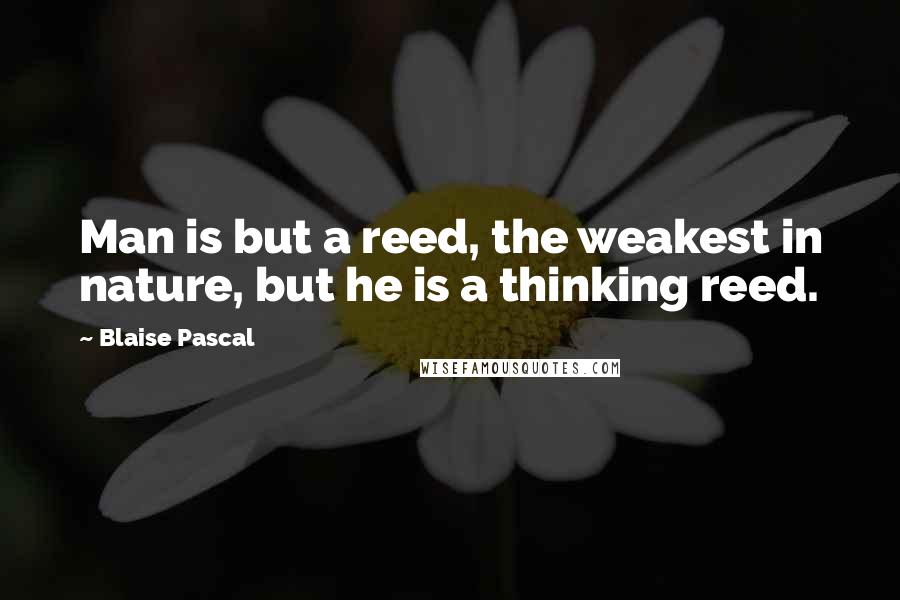 Blaise Pascal Quotes: Man is but a reed, the weakest in nature, but he is a thinking reed.