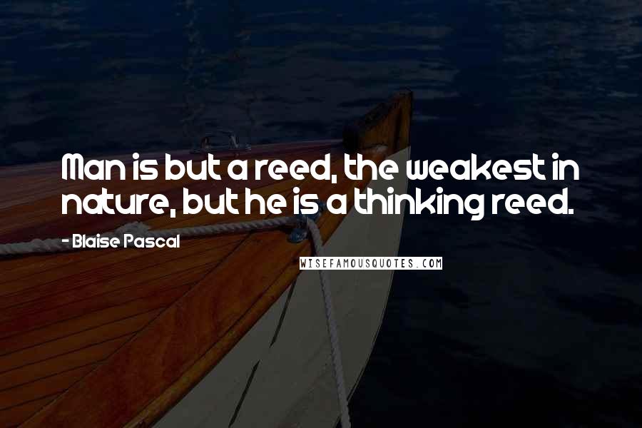 Blaise Pascal Quotes: Man is but a reed, the weakest in nature, but he is a thinking reed.