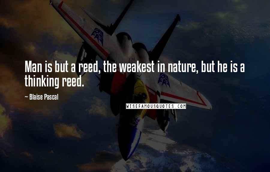 Blaise Pascal Quotes: Man is but a reed, the weakest in nature, but he is a thinking reed.