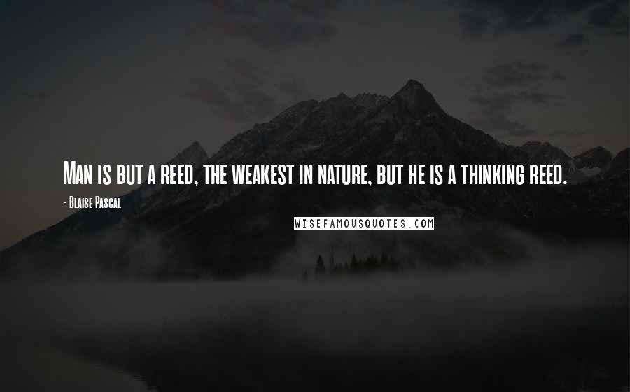 Blaise Pascal Quotes: Man is but a reed, the weakest in nature, but he is a thinking reed.