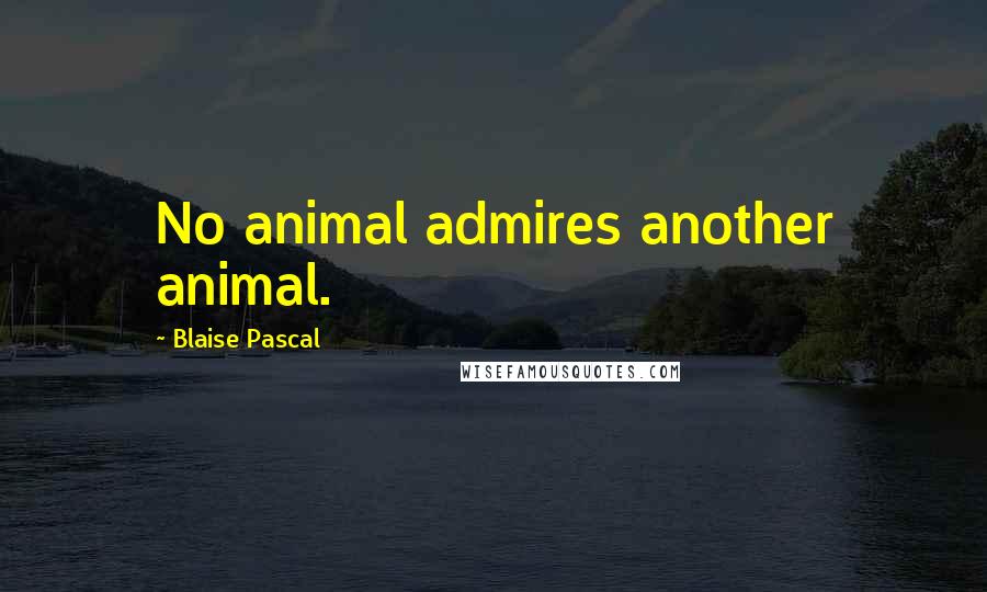 Blaise Pascal Quotes: No animal admires another animal.