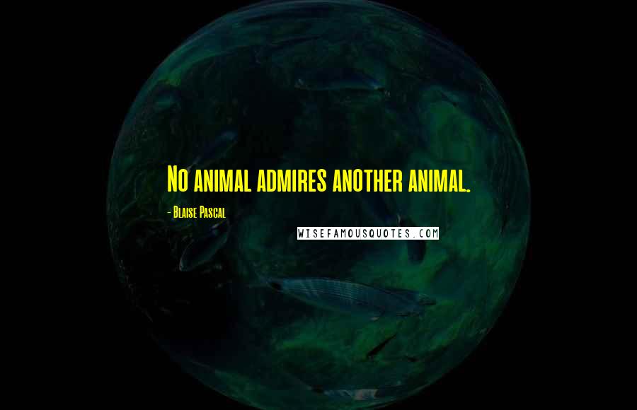 Blaise Pascal Quotes: No animal admires another animal.