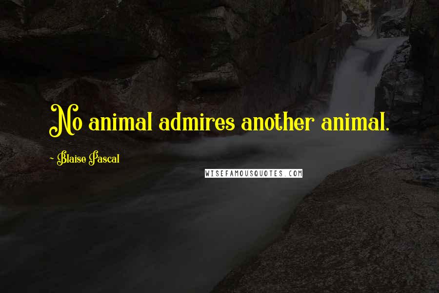 Blaise Pascal Quotes: No animal admires another animal.
