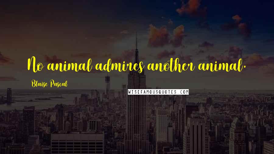 Blaise Pascal Quotes: No animal admires another animal.