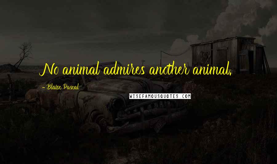 Blaise Pascal Quotes: No animal admires another animal.