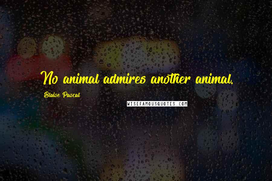 Blaise Pascal Quotes: No animal admires another animal.