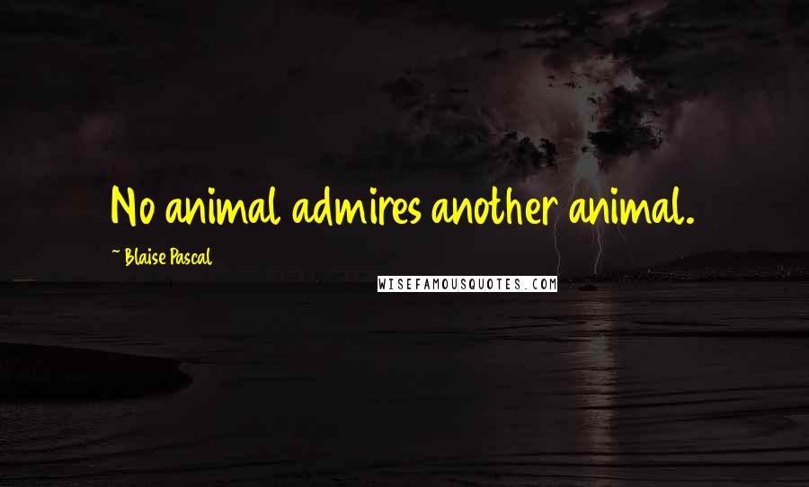 Blaise Pascal Quotes: No animal admires another animal.