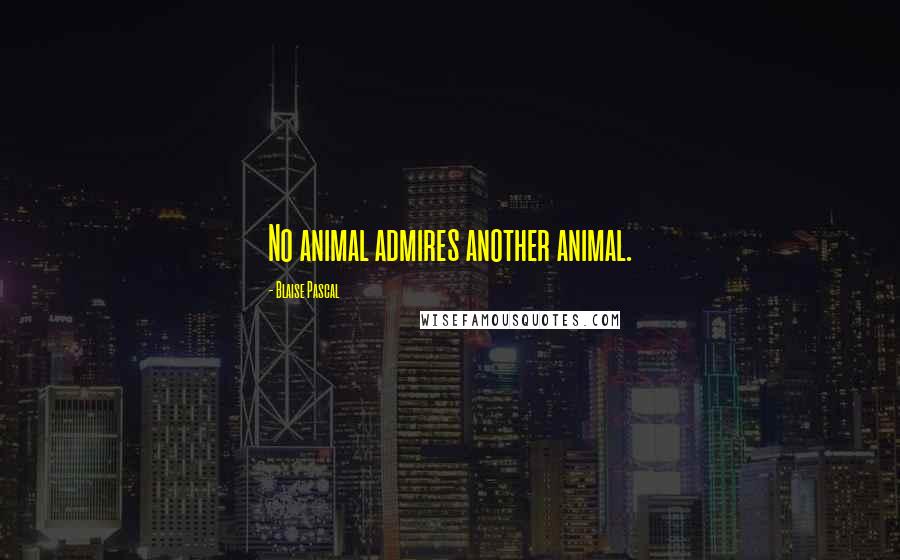 Blaise Pascal Quotes: No animal admires another animal.