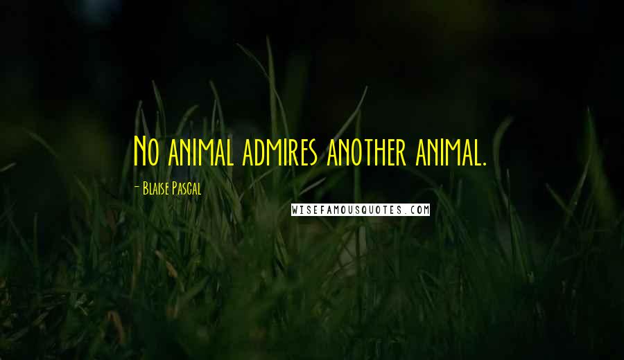 Blaise Pascal Quotes: No animal admires another animal.