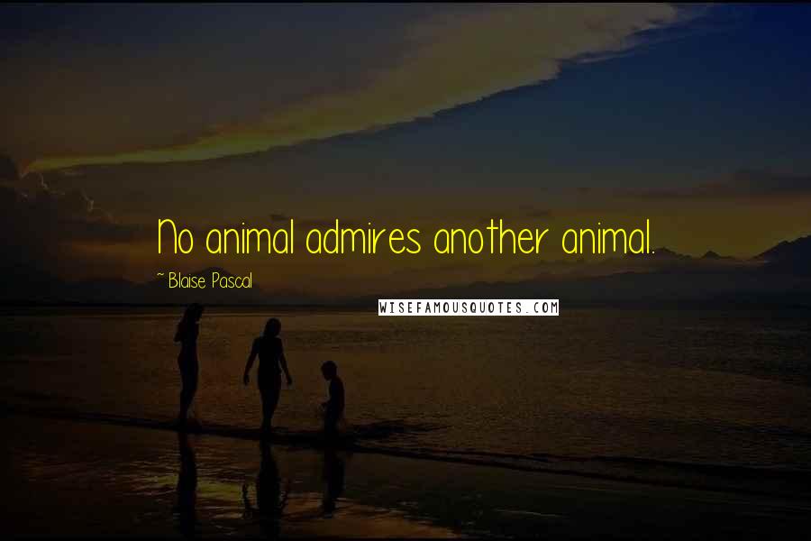 Blaise Pascal Quotes: No animal admires another animal.
