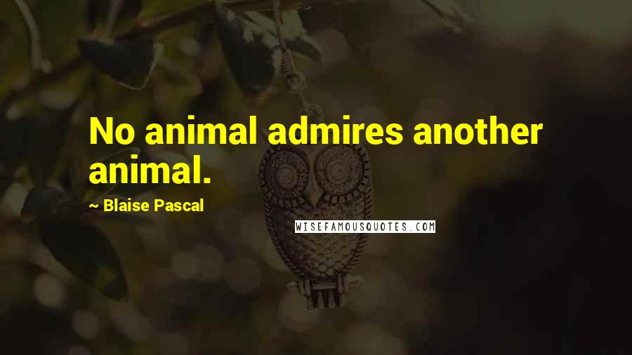 Blaise Pascal Quotes: No animal admires another animal.