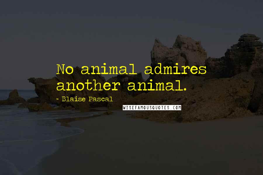 Blaise Pascal Quotes: No animal admires another animal.