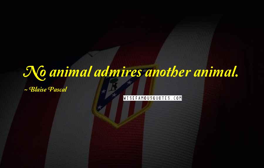 Blaise Pascal Quotes: No animal admires another animal.