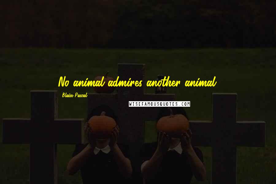 Blaise Pascal Quotes: No animal admires another animal.