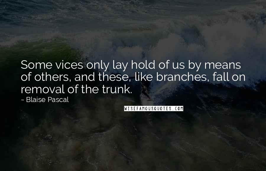 Blaise Pascal Quotes: Some vices only lay hold of us by means of others, and these, like branches, fall on removal of the trunk.