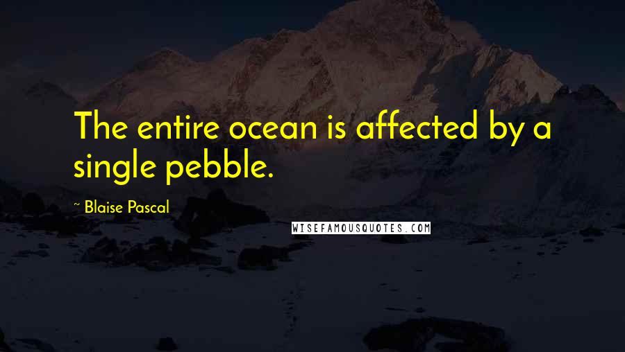 Blaise Pascal Quotes: The entire ocean is affected by a single pebble.