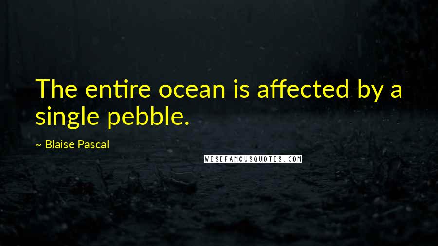 Blaise Pascal Quotes: The entire ocean is affected by a single pebble.