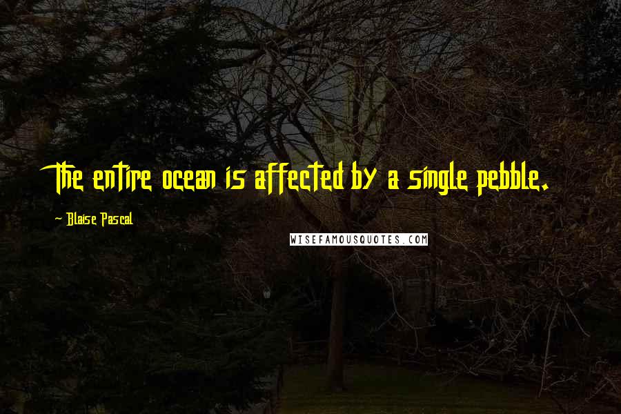 Blaise Pascal Quotes: The entire ocean is affected by a single pebble.