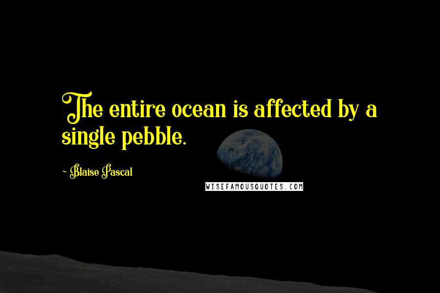 Blaise Pascal Quotes: The entire ocean is affected by a single pebble.