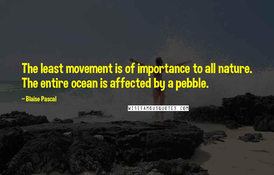 Blaise Pascal Quotes: The least movement is of importance to all nature. The entire ocean is affected by a pebble.