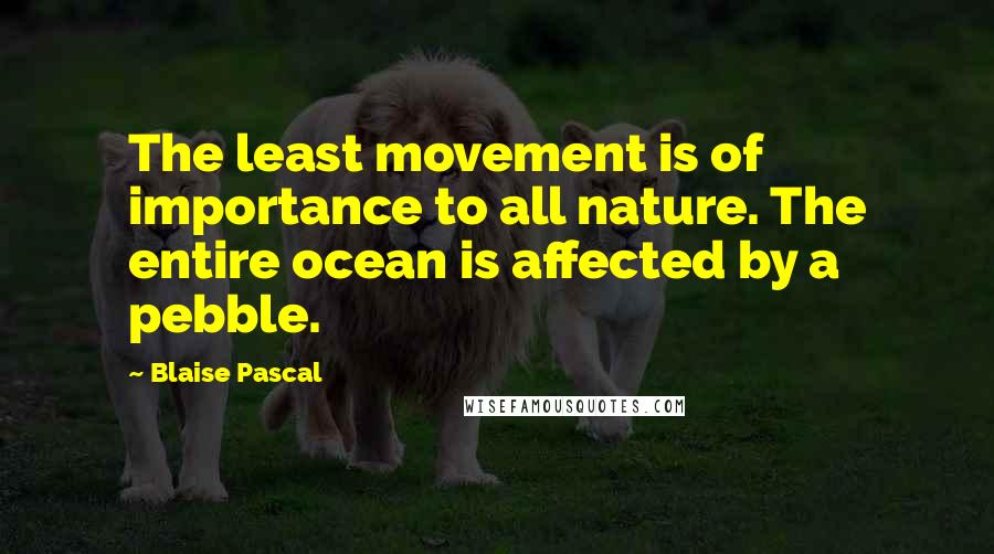 Blaise Pascal Quotes: The least movement is of importance to all nature. The entire ocean is affected by a pebble.