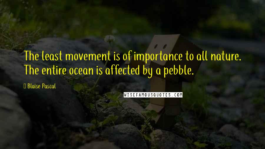 Blaise Pascal Quotes: The least movement is of importance to all nature. The entire ocean is affected by a pebble.