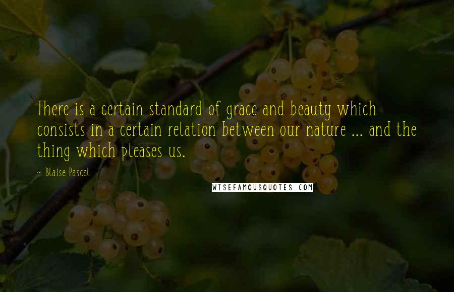 Blaise Pascal Quotes: There is a certain standard of grace and beauty which consists in a certain relation between our nature ... and the thing which pleases us.