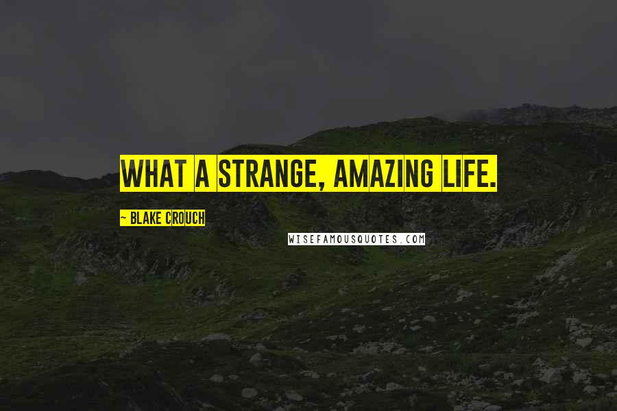 Blake Crouch Quotes: What a strange, amazing life.