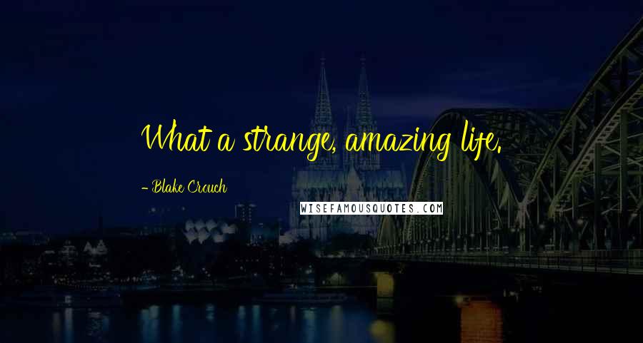 Blake Crouch Quotes: What a strange, amazing life.