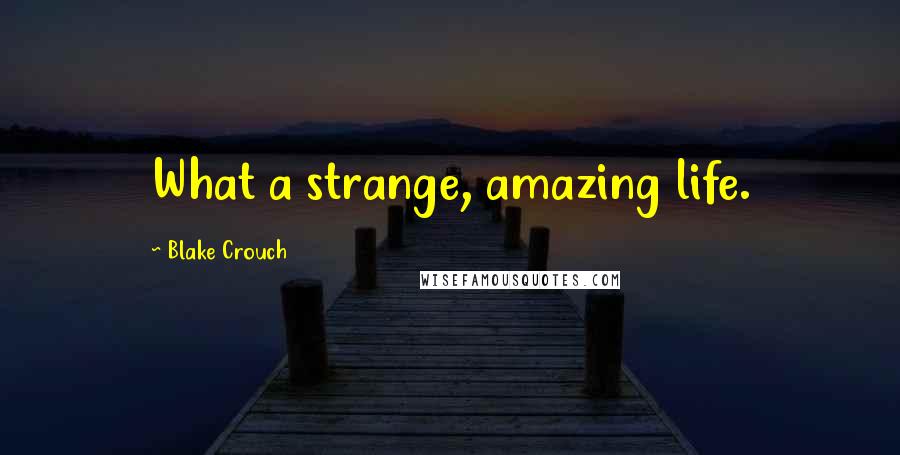 Blake Crouch Quotes: What a strange, amazing life.