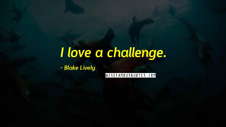 Blake Lively Quotes: I love a challenge.