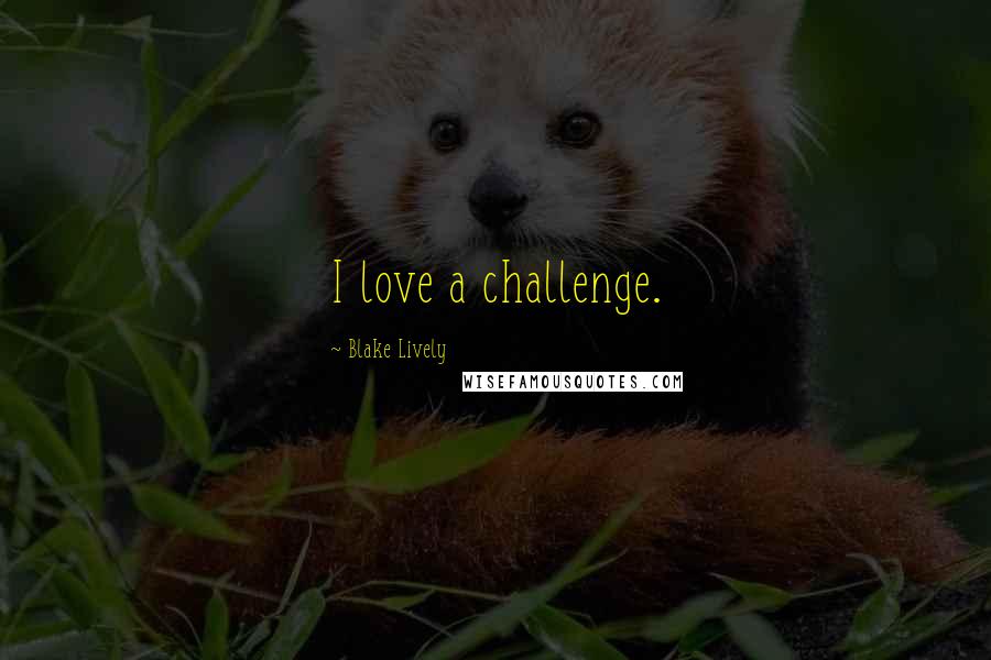 Blake Lively Quotes: I love a challenge.