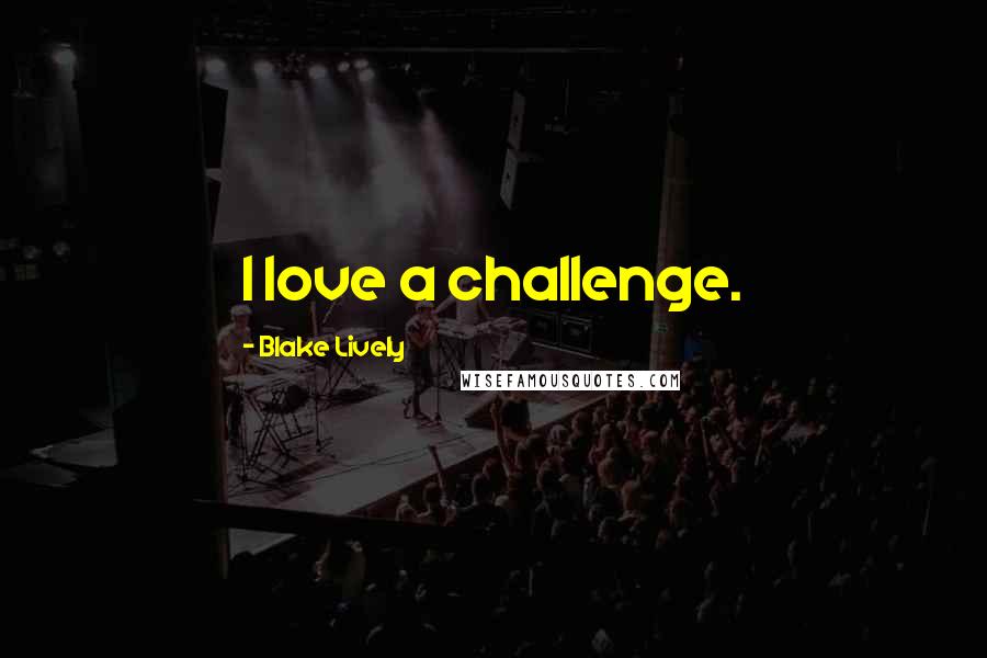 Blake Lively Quotes: I love a challenge.