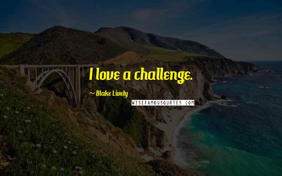 Blake Lively Quotes: I love a challenge.