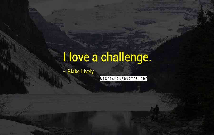 Blake Lively Quotes: I love a challenge.