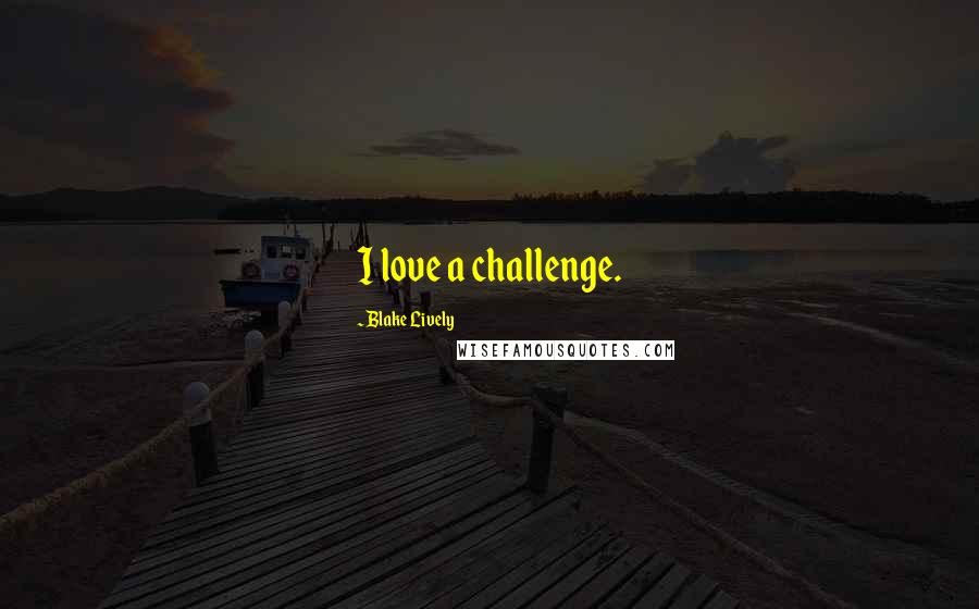 Blake Lively Quotes: I love a challenge.