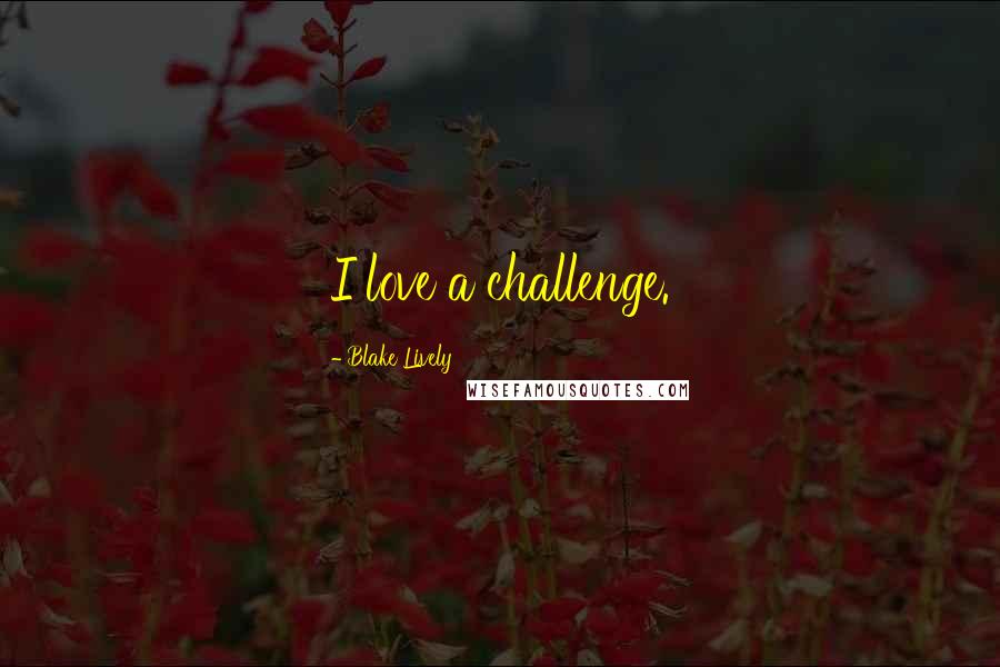 Blake Lively Quotes: I love a challenge.