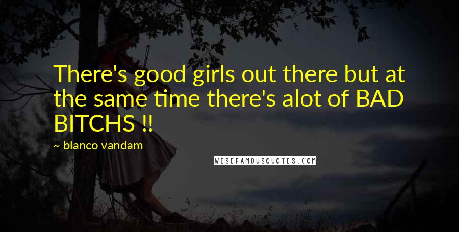 Blanco Vandam Quotes: There's good girls out there but at the same time there's alot of BAD BITCHS !!