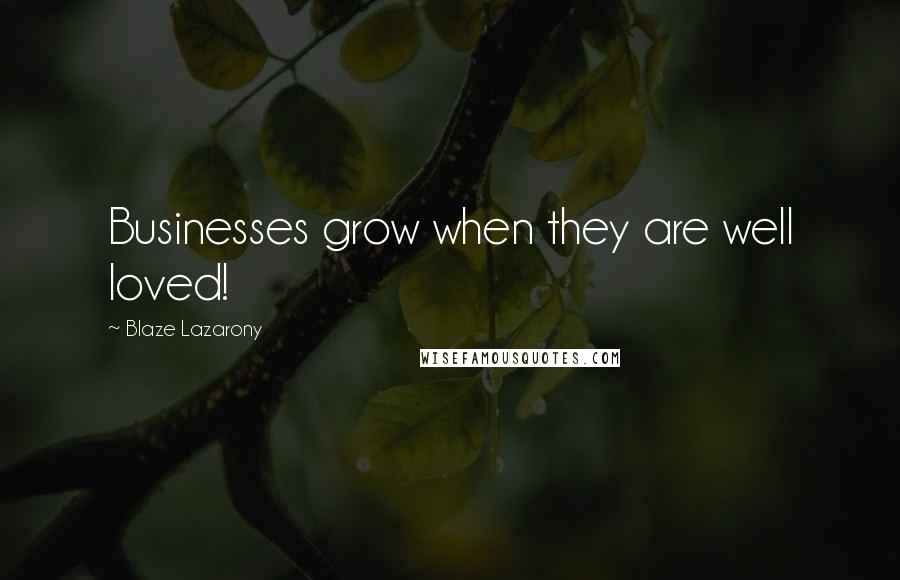 Blaze Lazarony Quotes: Businesses grow when they are well loved!