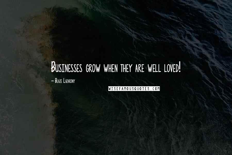 Blaze Lazarony Quotes: Businesses grow when they are well loved!