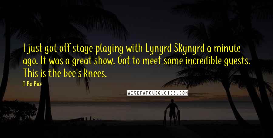 Bo Bice Quotes: I just got off stage playing with Lynyrd Skynyrd a minute ago. It was a great show. Got to meet some incredible guests. This is the bee's knees.