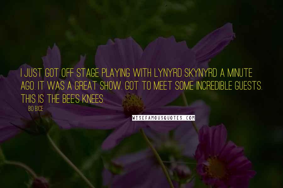 Bo Bice Quotes: I just got off stage playing with Lynyrd Skynyrd a minute ago. It was a great show. Got to meet some incredible guests. This is the bee's knees.