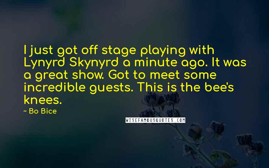 Bo Bice Quotes: I just got off stage playing with Lynyrd Skynyrd a minute ago. It was a great show. Got to meet some incredible guests. This is the bee's knees.