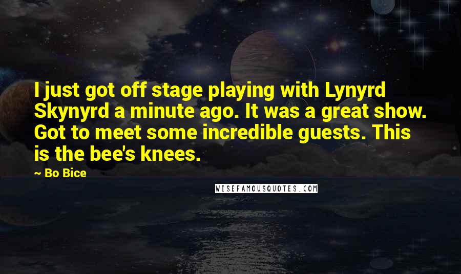 Bo Bice Quotes: I just got off stage playing with Lynyrd Skynyrd a minute ago. It was a great show. Got to meet some incredible guests. This is the bee's knees.