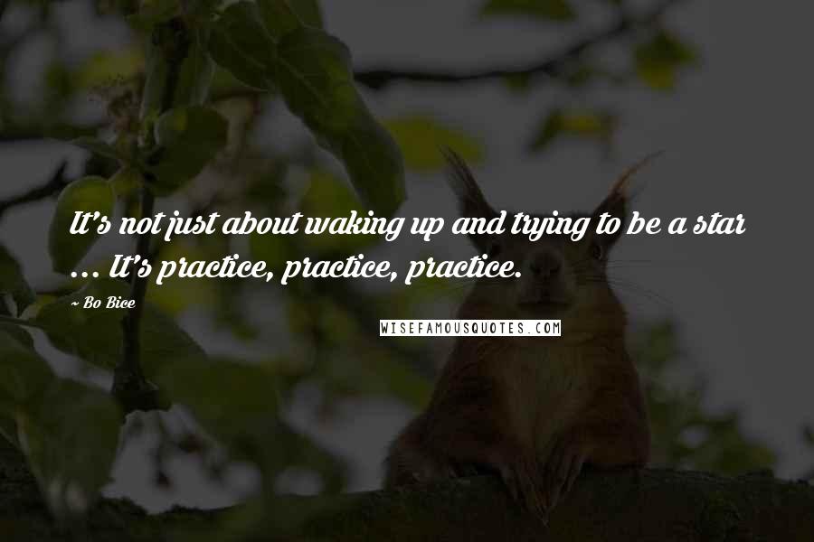 Bo Bice Quotes: It's not just about waking up and trying to be a star ... It's practice, practice, practice.