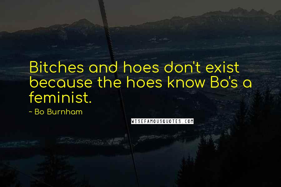 Bo Burnham Quotes: Bitches and hoes don't exist because the hoes know Bo's a feminist.