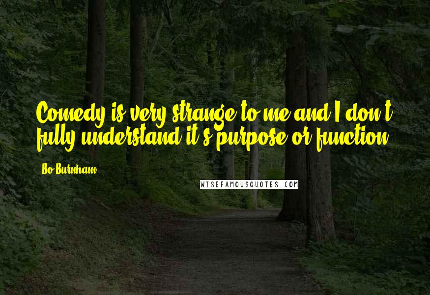 Bo Burnham Quotes: Comedy is very strange to me and I don't fully understand it's purpose or function.